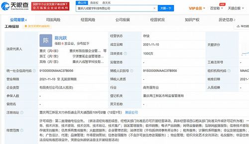 豬八戒網(wǎng)成立新公司，注資千萬(wàn)加碼互聯(lián)網(wǎng)數(shù)據(jù)服務(wù)